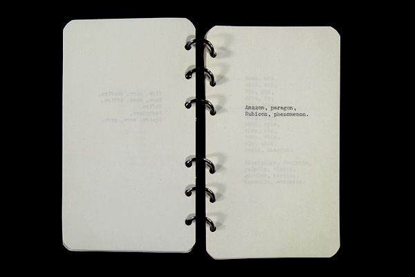 Appendix003