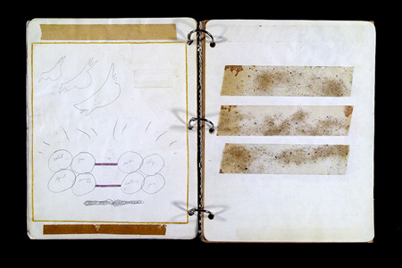 CisForPaper004