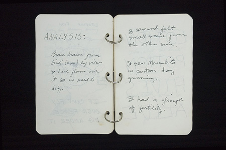 journal005