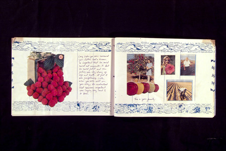 NutsandBerries010